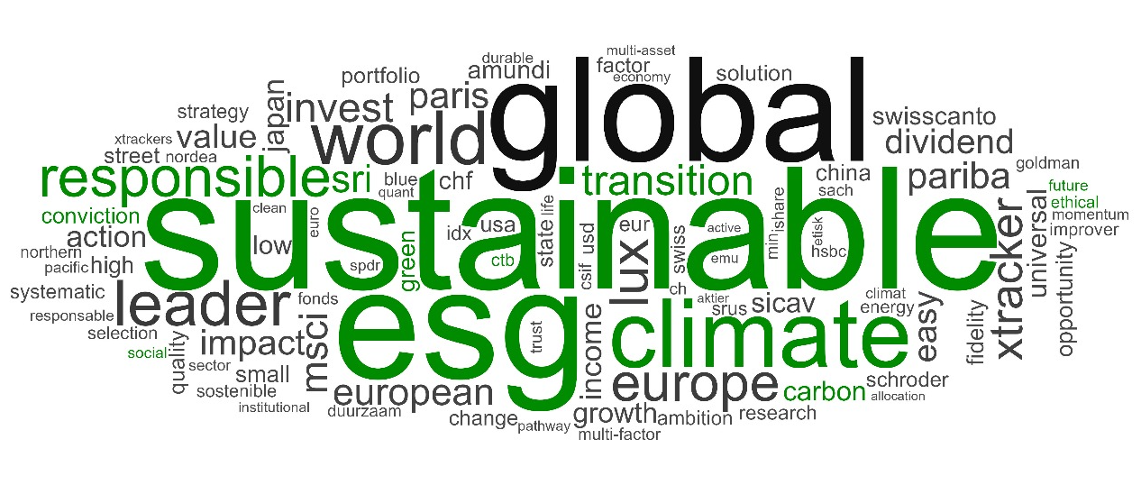  ESG related words Voxeurop