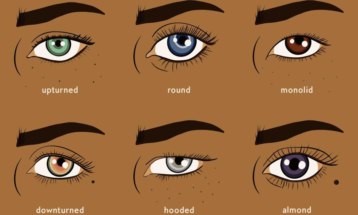 Understanding Your Eye Shape and Needs