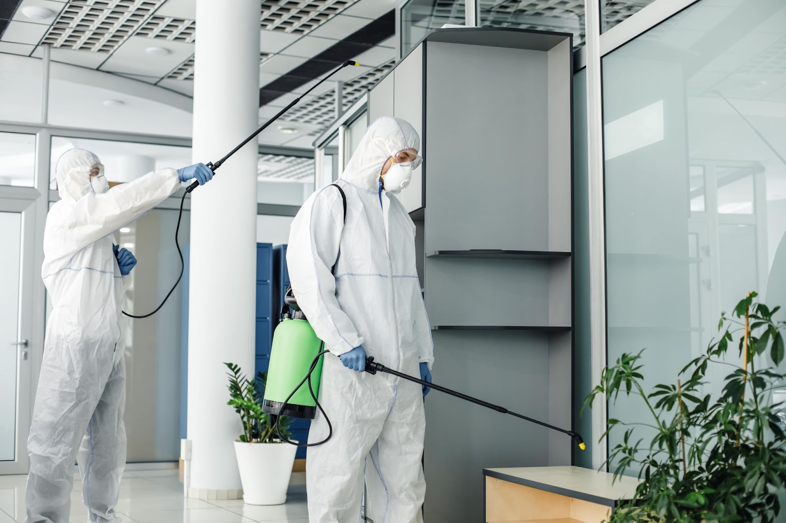 Professional pest control technicians in protective gear spraying pesticide in modern office space