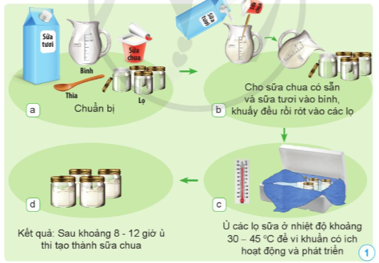 BÀI 13. VI KHUẨN CÓ ÍCH TRONG CHẾ BIẾN THỰC PHẨM