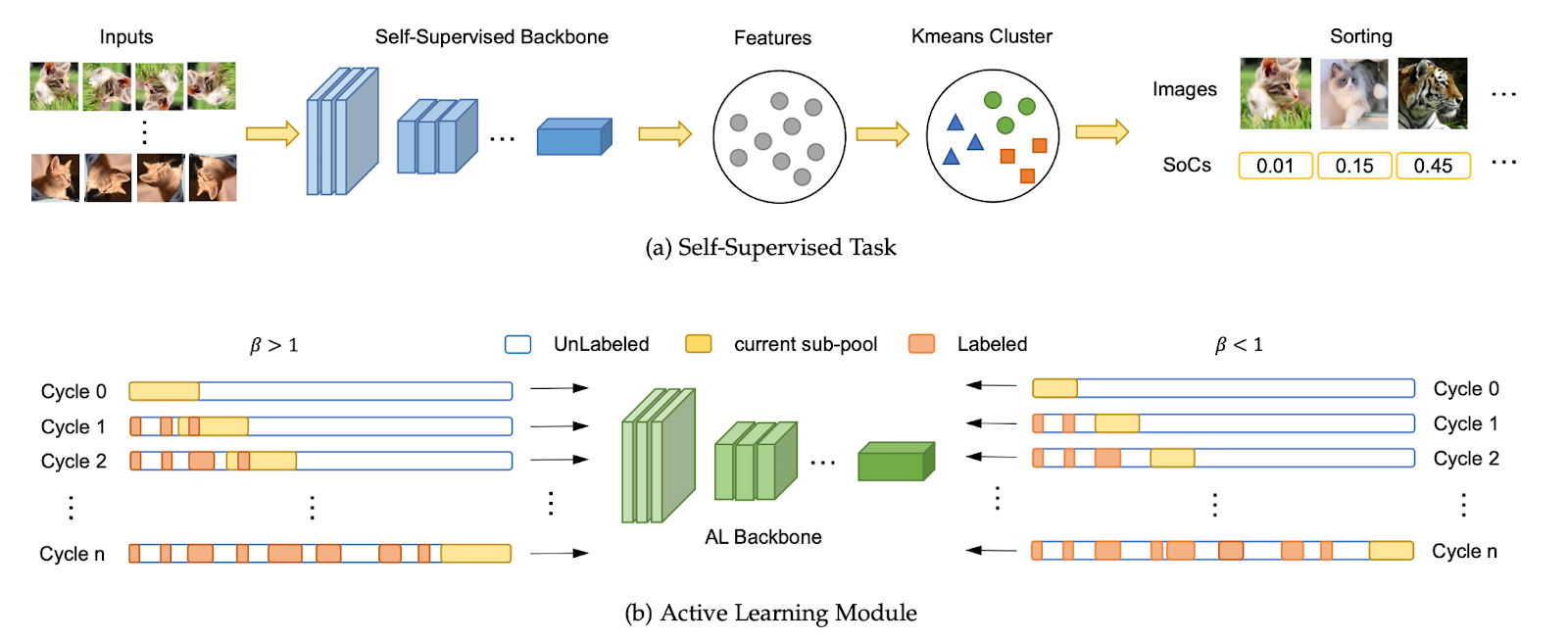 The BAL framework integrates a self-supervised task to extract diverse features using k-means clustering for balanced sample selection (a) and an active learning module that iteratively labels a balanced dataset by dynamically adjusting the sampling ratio (β) to improve model performance (b)