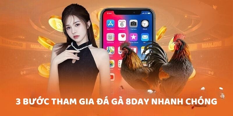 3 bước tham gia đá gà 8DAY nhanh chóng