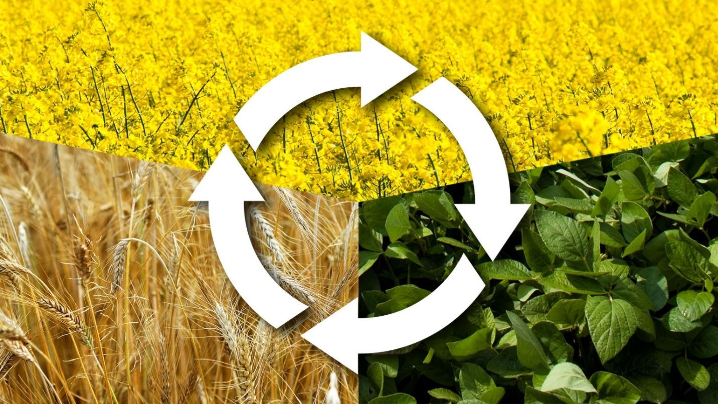 Crop Rotation in Agriculture