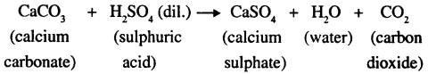 Selina Concise Chemistry Class 8 ICSE Solutions - Water 10