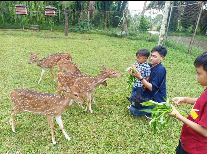 Taman Wisata Matahari: Tempat Rekreasi Keluarga dan Wisata Alam di Bogor