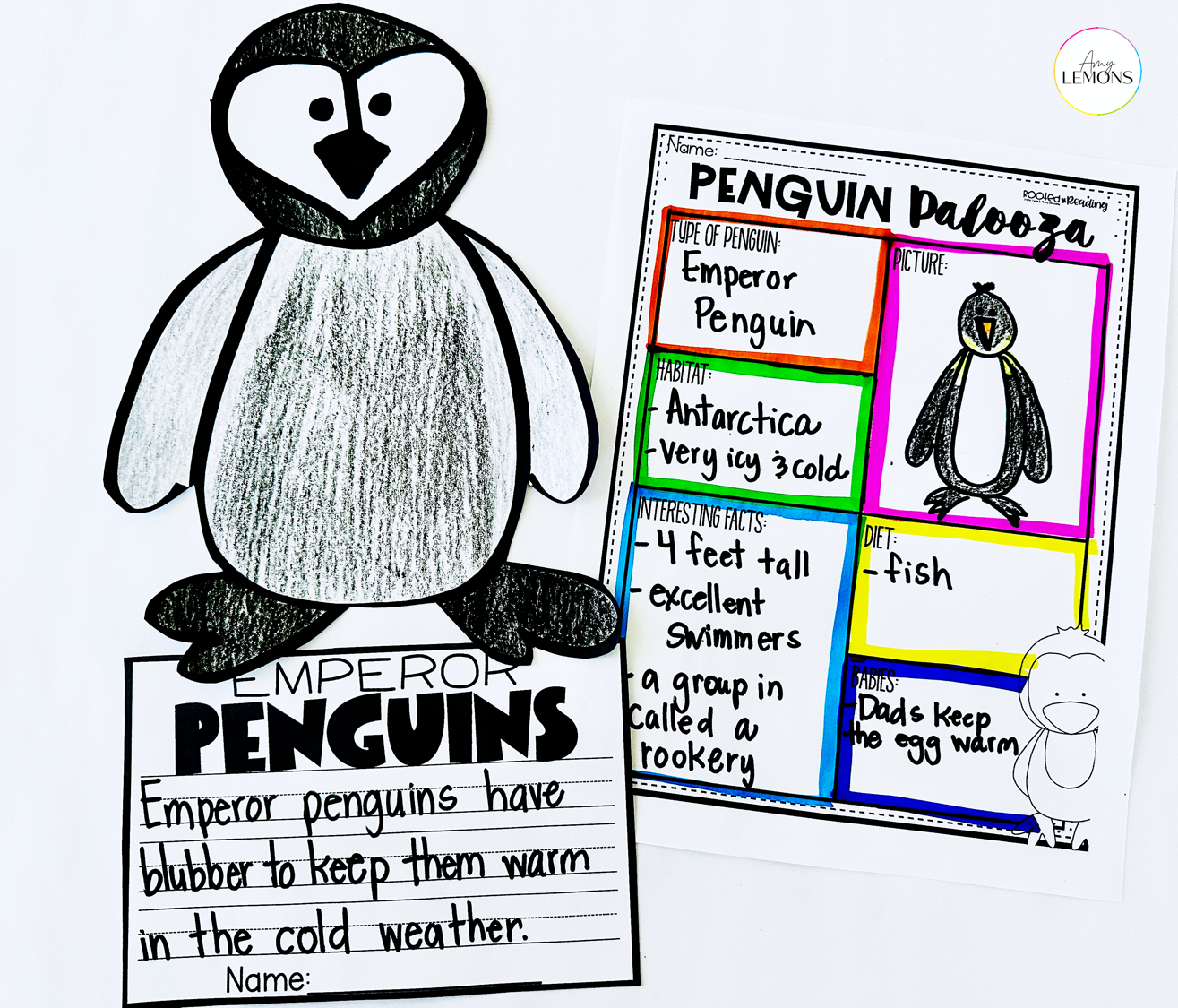 Penguin drawing and penguin research graphic organizer