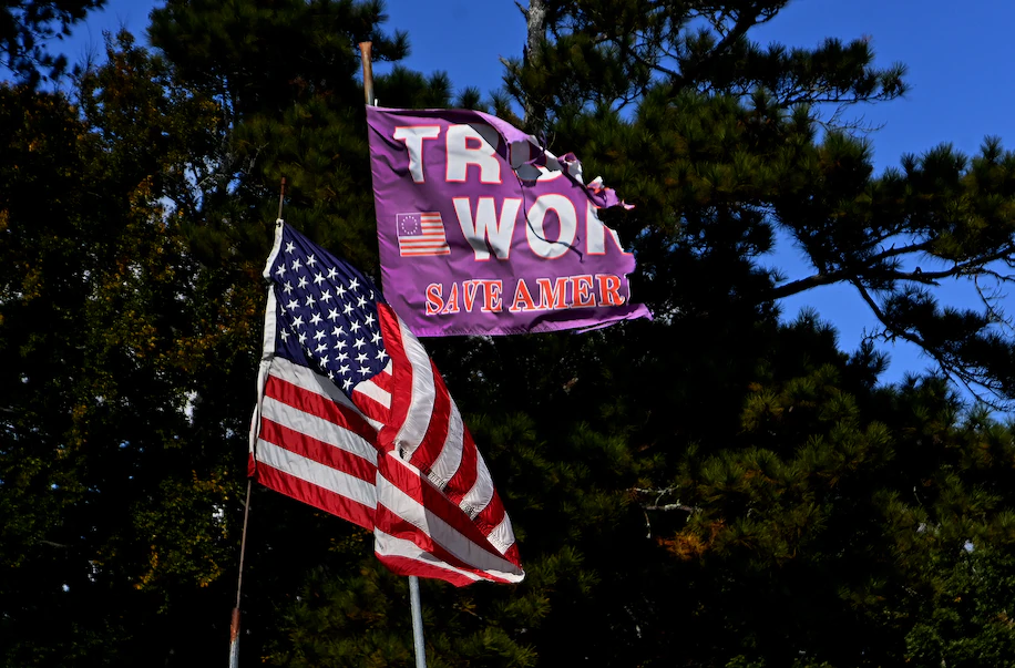 A flag and a flag with trees in the background

Description automatically generated