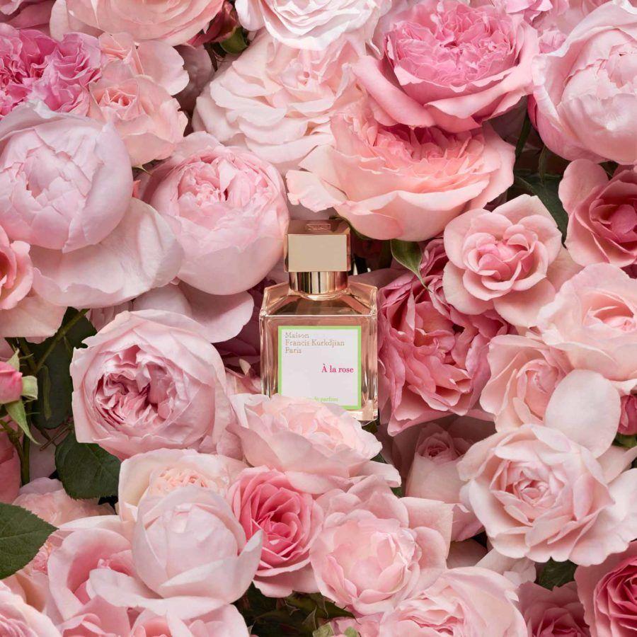 Our Picks For The Best Floral Scents Aroma Retail, 48% OFF