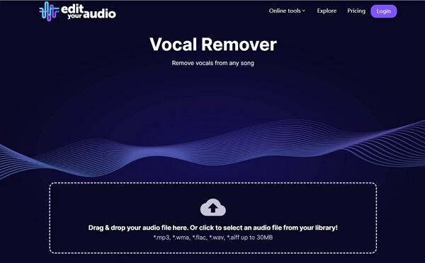 edityouraudio vocal remover