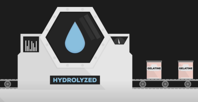  hydrolyzing collagen to make gelatin