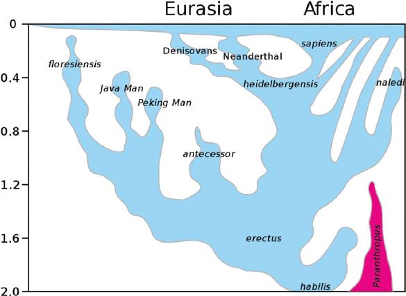 image_rsrc3V0.jpg
