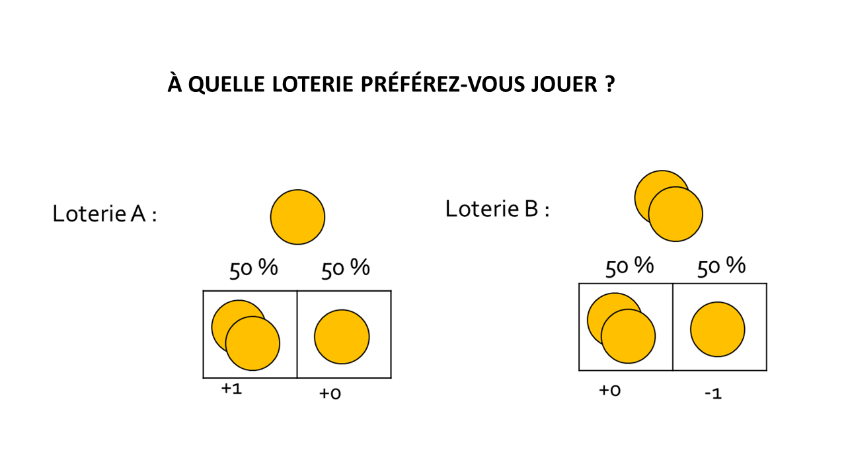 C:\Users\sebastien.ballesta\Seafile\Grd Publique Biais Decisions\3_Aversion perte.png
