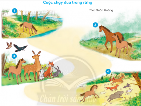 CHỦ ĐỀ 3: NIỀM VUI THỂ THAOBÀI 4: NGON LỬA Ô-LIM-PÍCKHỞI ĐỘNGTrao đổi với bạn những điều em thấy trong bức tranh của bài đọc.Giải nhanh:Trong bức tranh có biểu tượng của thế vận hội O-lim-pích và vận động viên đang cầm ngọn đuốc khai mạc cho thế vận hội.KHÁM PHÁ VÀ LUYỆN TẬP1) Đọc và trả lời câu hỏi:Câu 1: Tục lệ tổ chức Đại hội Thể thao Ô-lim-pích có từ khi nào? Ở đâu?Câu 2: Kể tên những môn thi đấu trong Đại hội Thể thao Ô-lim-pích trước đây.Câu 3: Quang cảnh của thành phố Ô-lim-pi-a như thế nào khi diễn ra Đại hội Thể thao?Câu 4: Ngọn lửa mang từ thành phố Ô-lim-pích tới báo hiệu điều gì?Câu 5: Em thích hình ảnh nào trong Đại hội Thể thao Ô-lim-pích? Vì sao?Giải nhanh: Câu 1: Gần 3000 năm, ở nước Hy lạp cổ.Câu 2: Chạy, bắn cung, đua ngựa, ném đĩa, ném lao, đấu vật...Câu 3: Đông đúc, tưng bừng, náo nhiệt vì sự có mặt của người tứ xứ.Câu 4: Ngọn lửa mang từ thành phố Ô-lim-pi-a tới được thắp sáng trong giờ khai mạc, báo hiệu bắt đầu những cuộc đua tài theo tỉnh thần hoà bình và hữu nghị.Câu 5: Ngọn lửa mang từ thành phố Ô-lim-pi-a tới được thắp sáng trong giờ khai mạc, báo hiệu bắt đầu những cuộc đua tài theo tỉnh thần hoà bình và hữu nghị.=> Chi tiết này thể hiện được tính trọng đại và sự mong chờ của mọi người vào hội thi, được đông đảo người hưởng ứng và cuộc thi mang tính chất hòa bình hữu nghị2) Đoán tên môn thể thao qua động tác.Giải nhanh:Tranh 1: Bóng rổTranh 2: Bóng đáTranh 3: Võ thuậtTranh 4: Điền kinh3) Nói 1- 2 câu về một môn thể thao em đã đoán được tên ở bài tập 2.Giải nhanh:Bóng rổ là môn thể thao thú vị, nó mang lại nhiều lợi ích cho tôi. Đầu tiên, tôi có thể phát triển chiều cao đáng kể. Hiện giờ tôi đã là người cao nhất trong lớp. Tiếp theo, chơi bóng thể thúc đẩy tinh thần đồng đội. Bạn có thể có cơ hội tiếp xúc với những người ở những tầng lớp khác nhau trong xã hội. Hơn thế nữa, bạn có thể học những cách giao tiếp mới bằng miệng hay cử chỉ với đồng đội. Tóm lại, bóng rổ là môn thể thao thú vị, bạn nên chơi thử.1) Kể từng đoạn của câu chuyện theo tranhGiải nhanh:1. Trước ngày các muông thú trong rừng tổ chức cuộc thi chạy. Tôi cũng đã chuẩn bị cho mình một bộ đồ nâu tuyệt đẹp, một chiếc bờm chải chuốt rất công phu. Ôi ! Chưa vào cuộc thi mà tôi đã có dáng vẻ của một nhà vô địch.2.  Thấy bộ dạng của tôi như vậy, cha tôi chỉ nhỏ nhẹ khuyên nhủ :-  Con trai à, việc con cần làm hơn cả là phải đến bác thợ rèn nhờ bác xem lại bộ móng cho. Bộ đồ đẹp đâu có cần cho cuộc đua tài.    Tôi nghe cha nói mà không hài lòng. Tôi soi người xuống nước nước ngắm lại mình một lần nữa rồi ngúng nguẩy trả lời với cha:-  Cha yên tâm đi. Móng của con rất chắc chắn. Con sẽ đạt giải nhất mà !3. Cuộc thi đã đến. Sáng hôm ấy, mọi người đến đông nghẹt, nào là Hươu, Nai, Thỏ Trắng, Thỏ Xám rồi cả các loài chim rừng như Công, Quạ, Chim Gõ Kiến,... chẳng thiếu một ai.4. Khi tiếng hô  Bắt đầu !