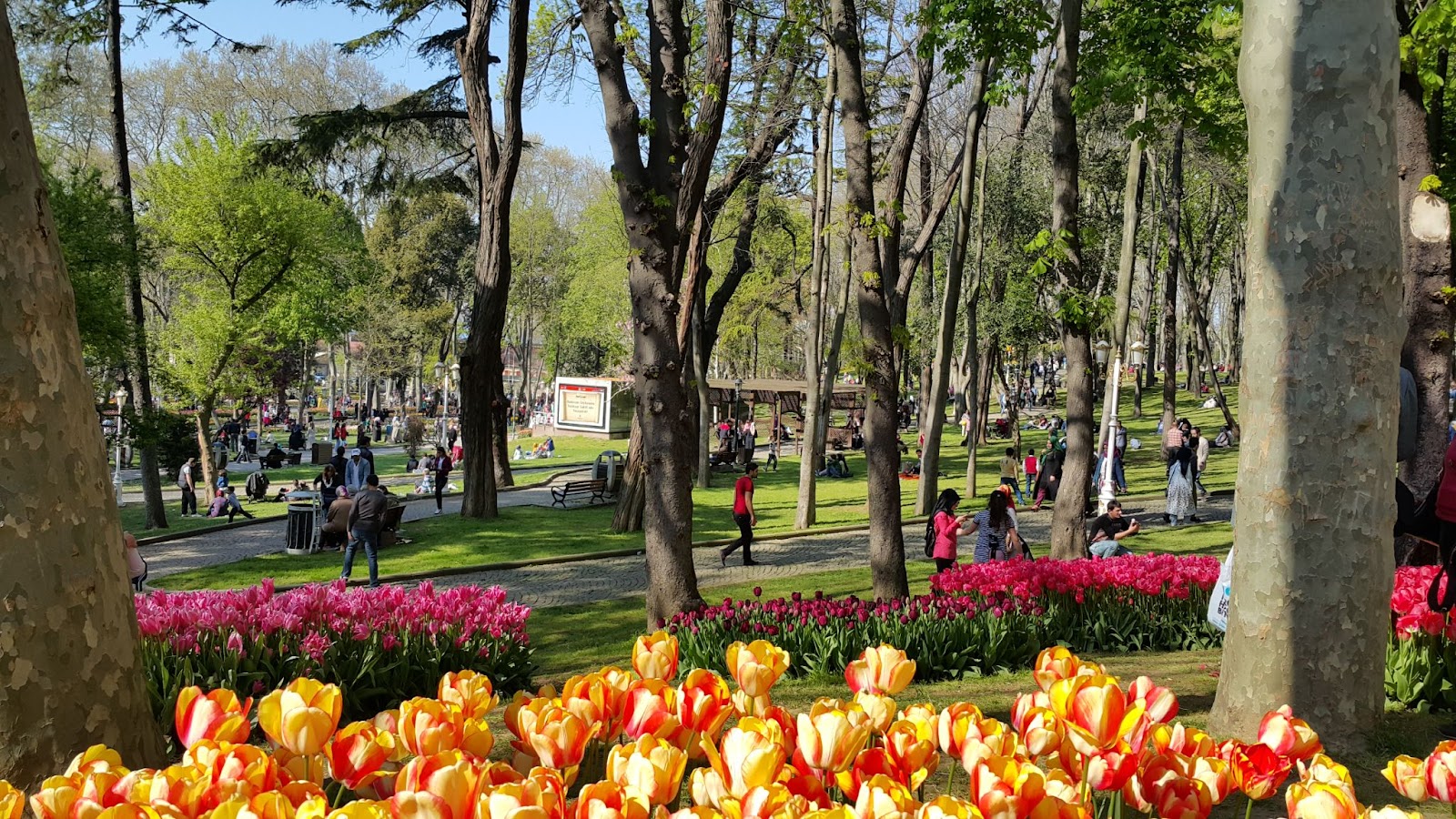 Colorful tulip gardens and lush trees in Gülhane Park, Istanbul, Turkey, with families and visitors strolling and relaxing on a sunny spring day.