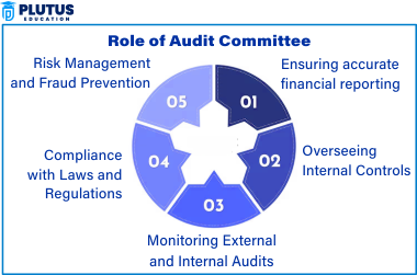 Role of Audit Committee