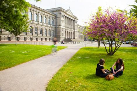 A group of people sitting on the grass

Description automatically generated