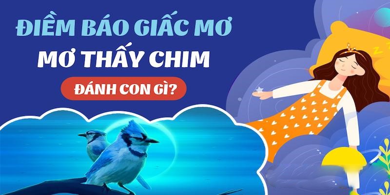 các con số liên quan đến chim