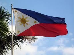 Free Shipping Filipino Flag NEW 100% Polyester Philippines Flag 3x5 ft Flag  of Philippines 90x 150cm Philippines National Flag|Flags, Banners &  Accessories| - AliExpress