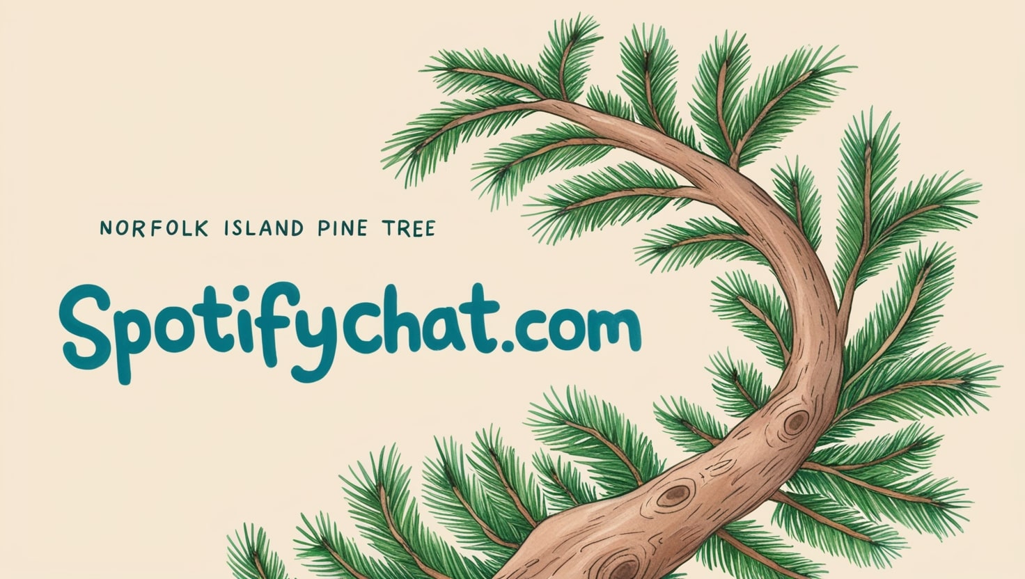 Is Norfolk Island Pine a Monocot or Dicot