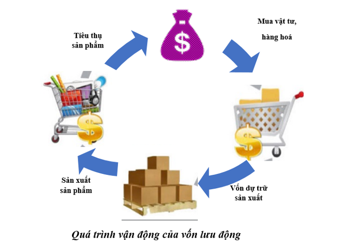 Vòng quay vốn lưu động