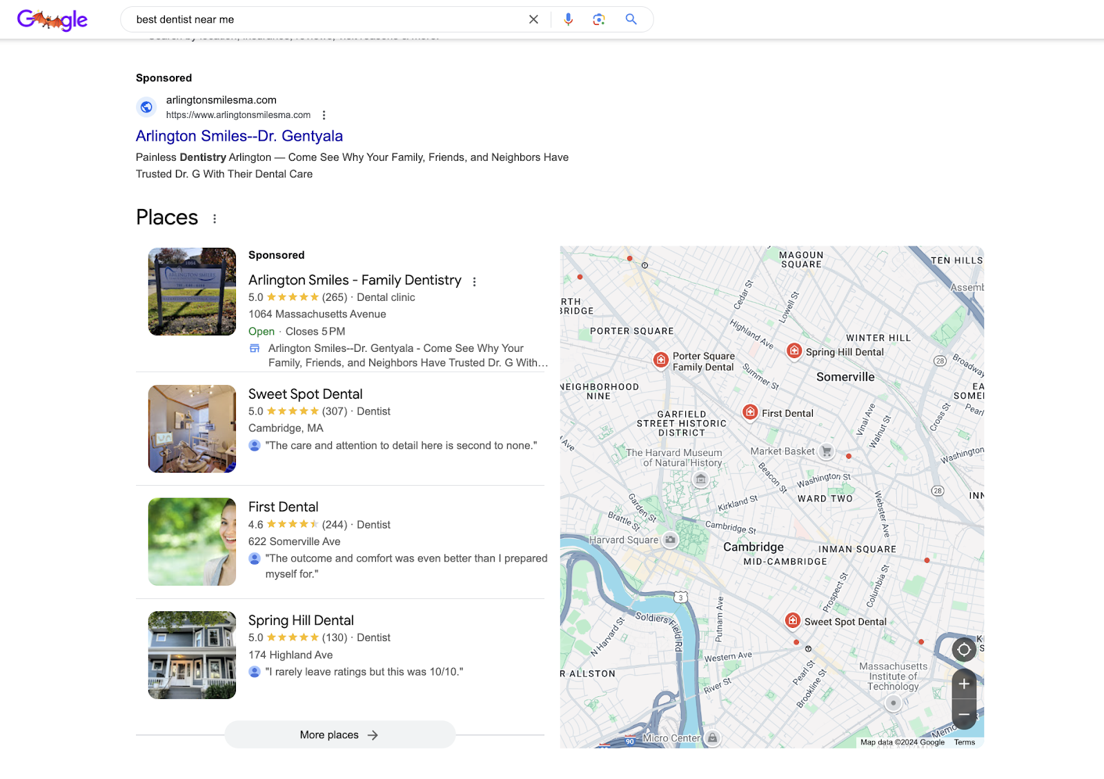 seo search results example