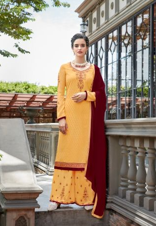 7 Different Types of Pakistani Suits for Ladies 5