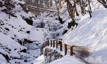 На Закарпатті замерз відомий 14-метровий водоспад Шипіт (ФОТО) ||  MUKACHEVO.NET