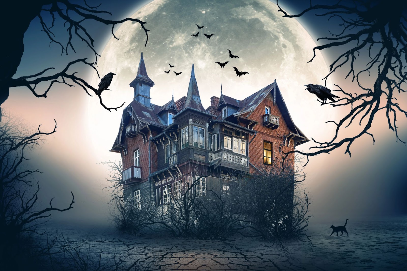 Haunted spooky house