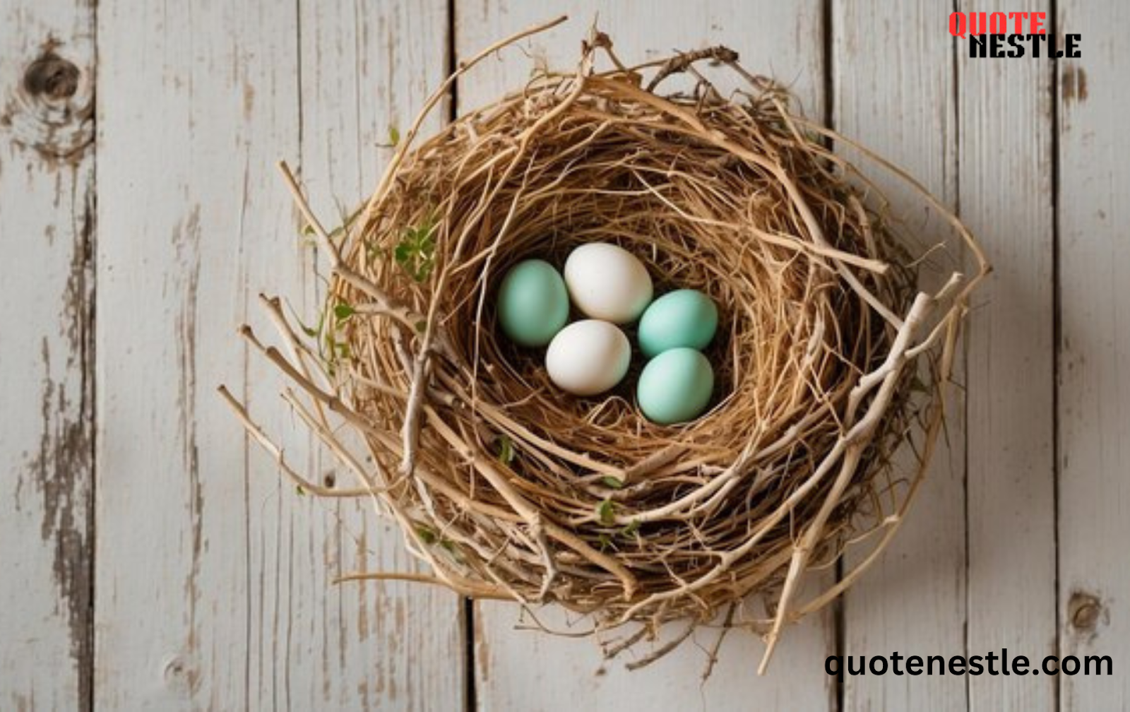 Cute Empty nest quotes 