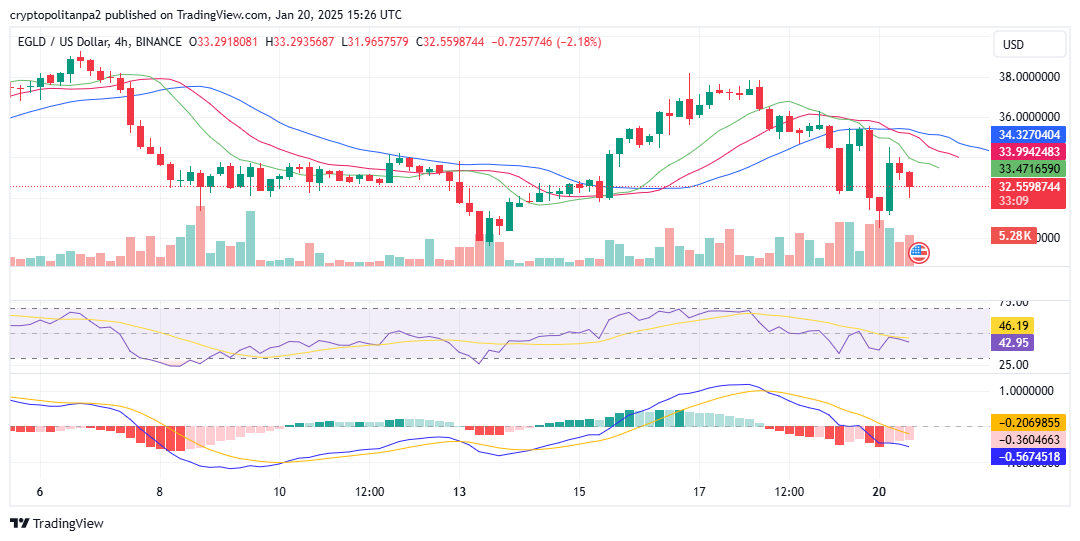 EGLD/美元价格图表。图片来源：TradingView