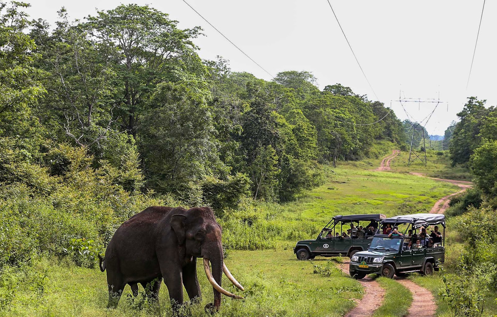 How to Reach Nagarhole National Park – Safari Booking & Stay Options