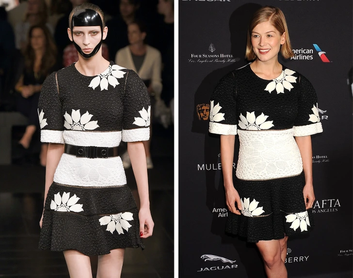 fashion
