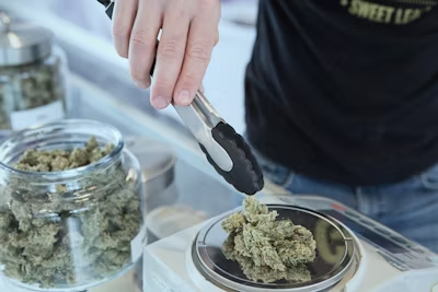 What Makes a Great First-Time Dispensary Experience