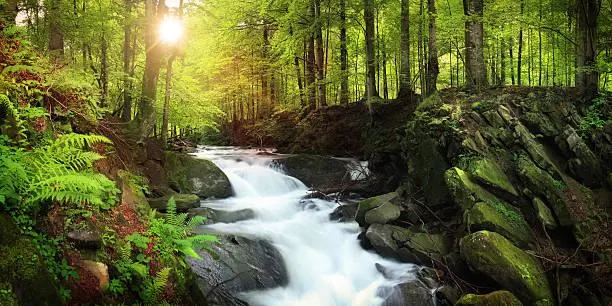 12 Remote Trails in the Heart of Nature, remote trail, wild path, nature, landscape, scenic hike, quiet land