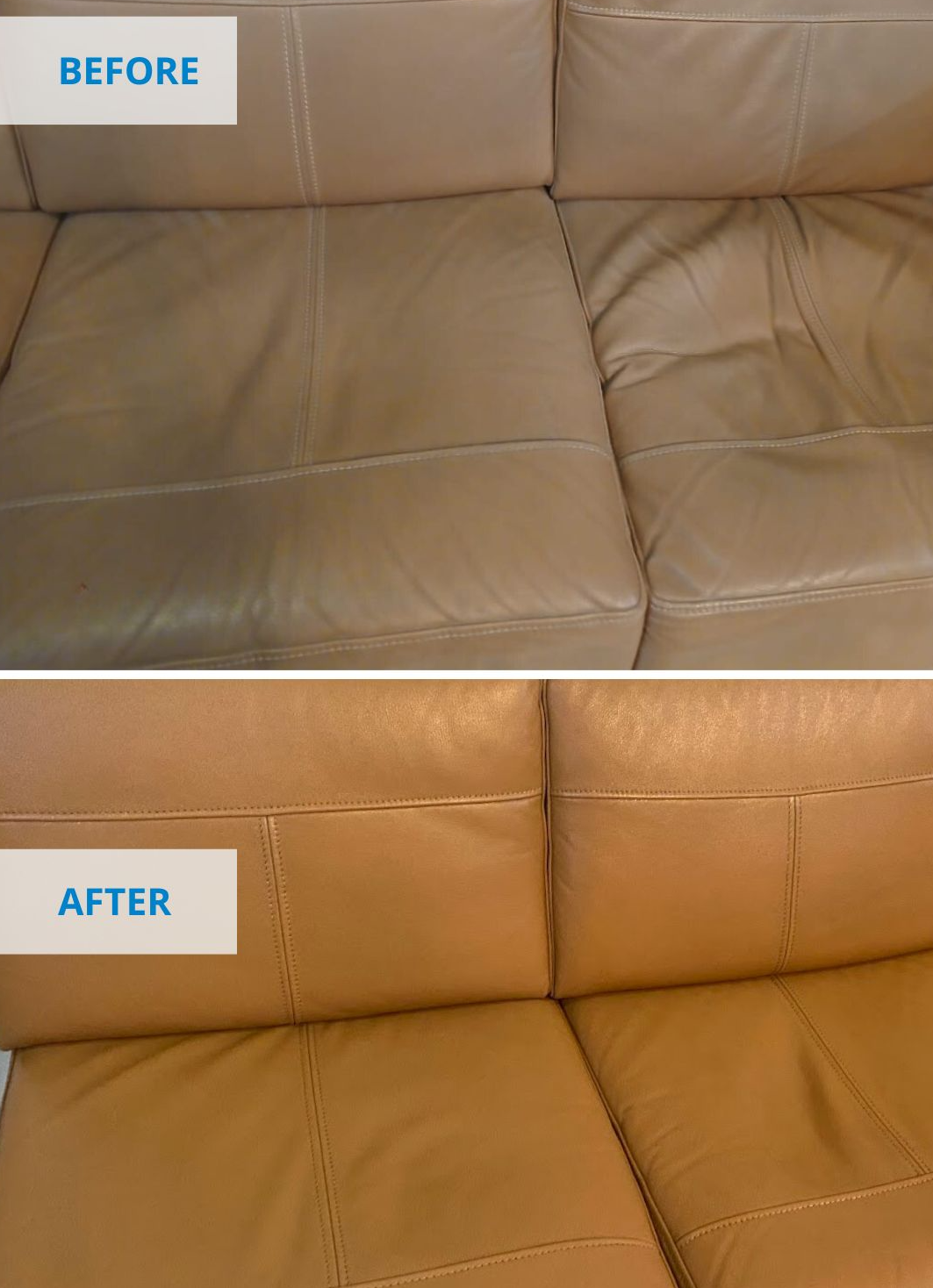 A Complete Guide to Professional Sofa Cleaning Services: What to Expect