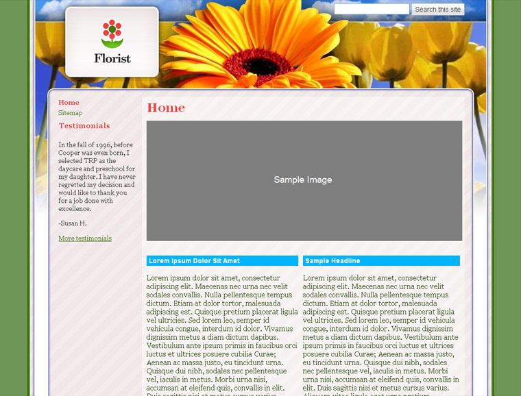 exemples de sites google