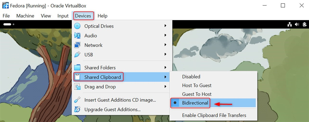 Enable Shared Clipboard