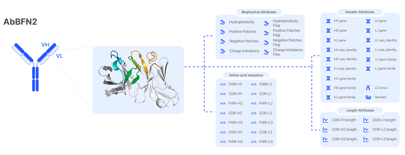 Figure 1: Illustration of AbBFN2’s holistic understanding of an antibody. Demonstration of  how AbBFN2 learns the genetic and biophysical attributes of an antibody, as well as sequence. Source: Internal