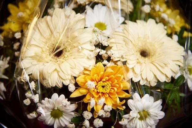 The Language of Flowers: What Your Partner’s Favorite Blooms Reveal About Your Relationship