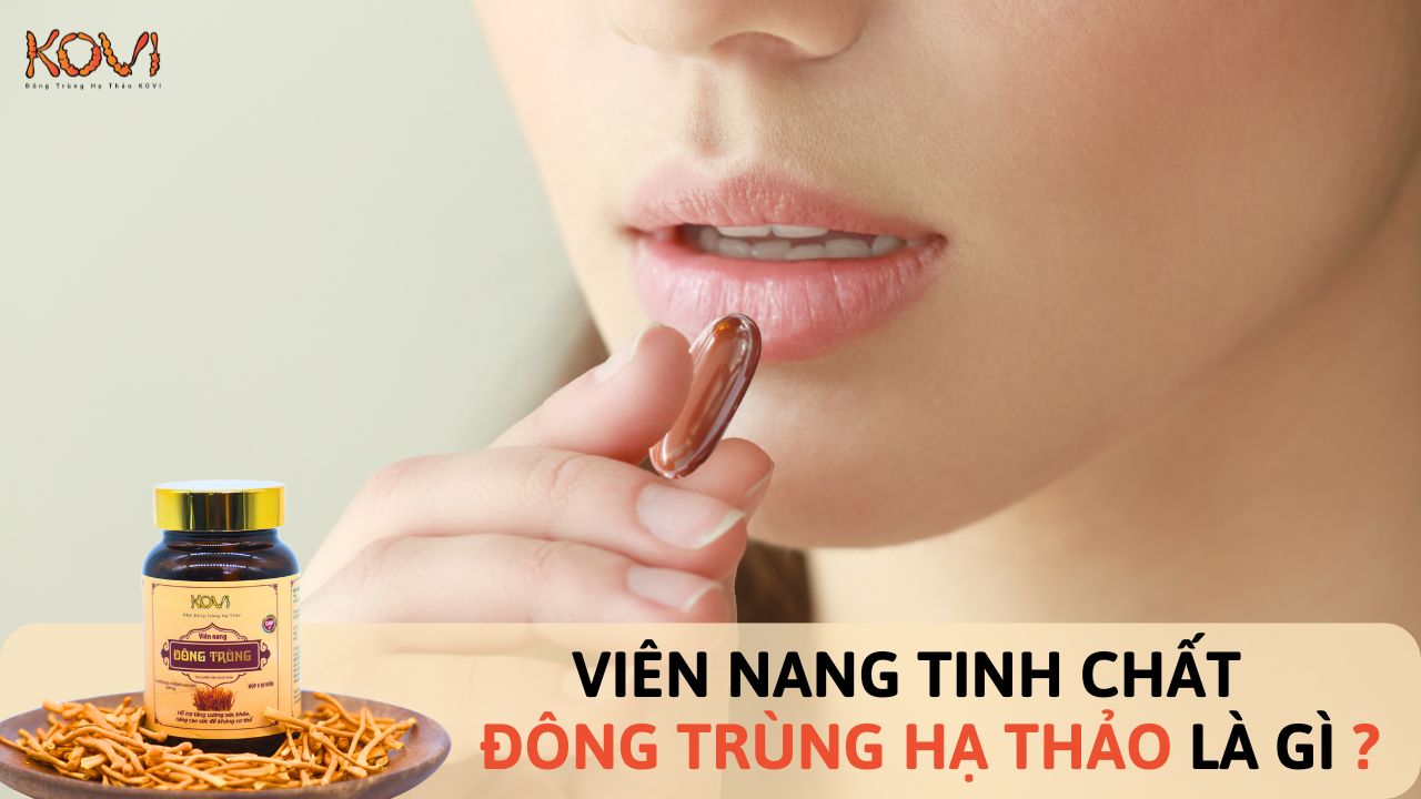 Đông trùng hạ thảo thiên phúc