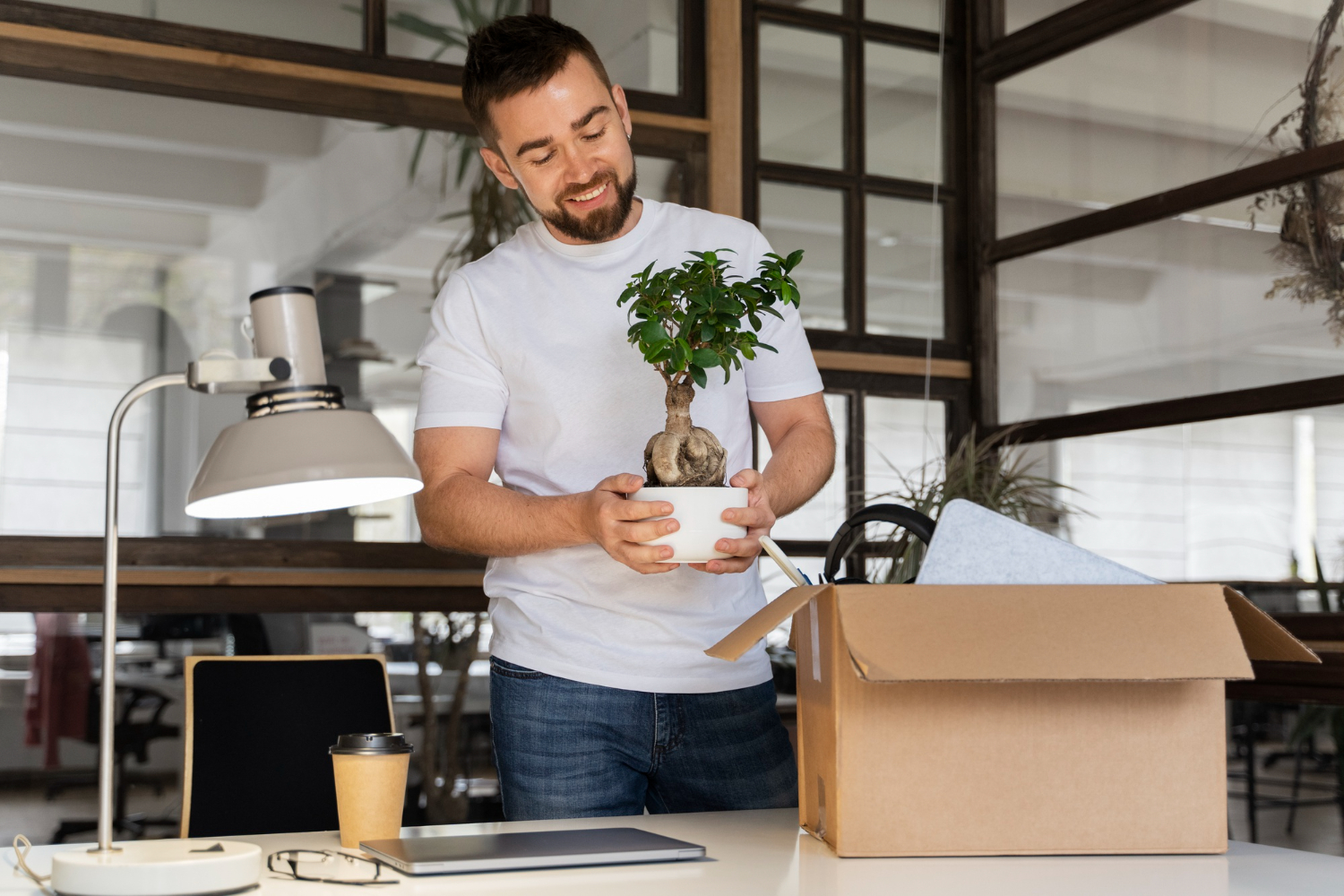 Person placing a small plant on an office desk.