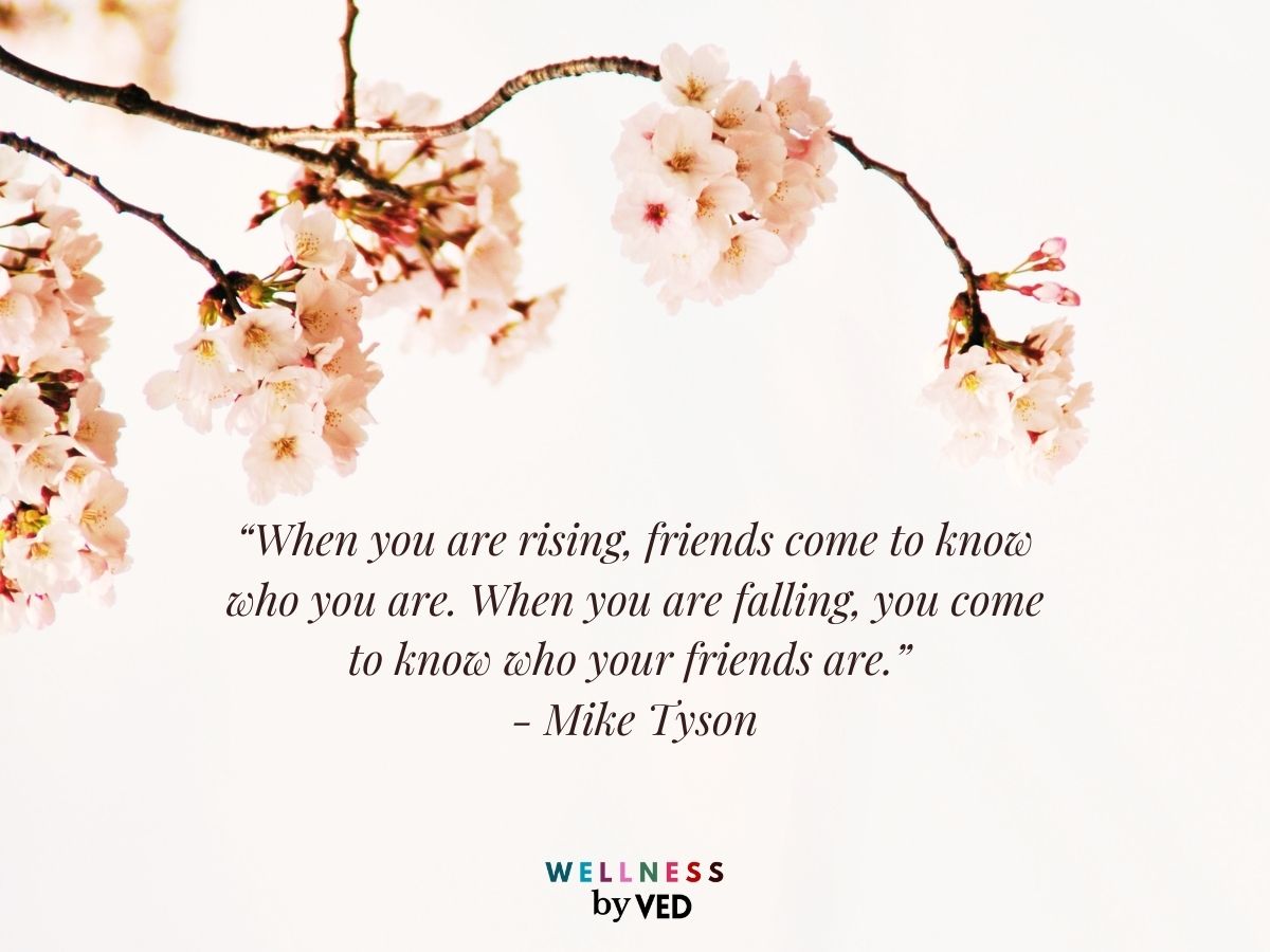 Mike tyson quotes 