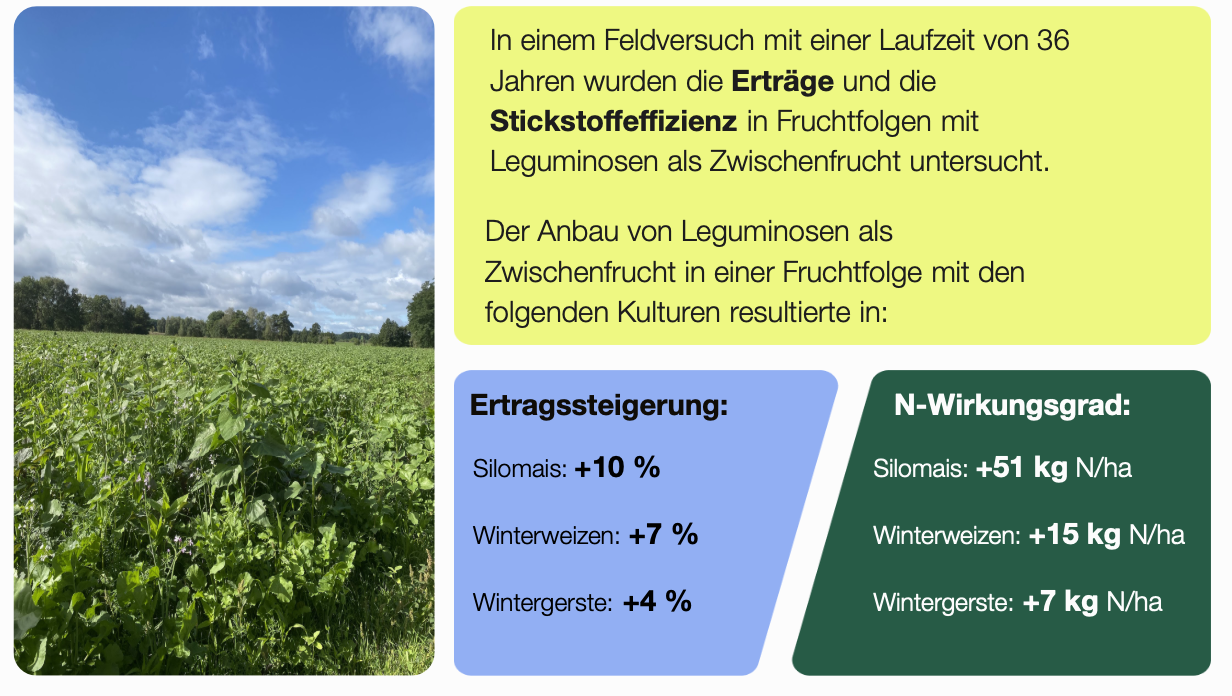 Schaubild: Studienergebnisse der Effekte von legumen Zwischenfrüchten