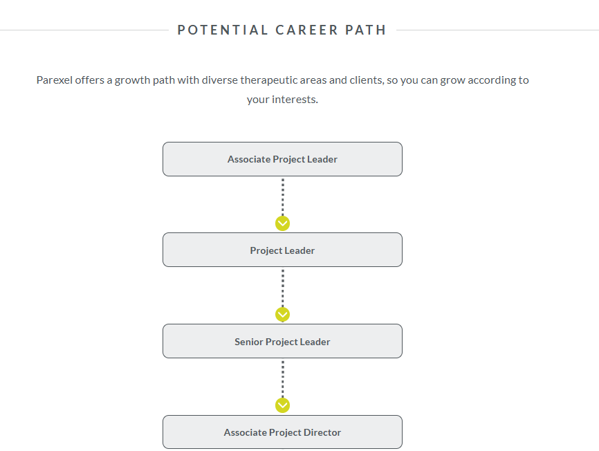 Potential career path