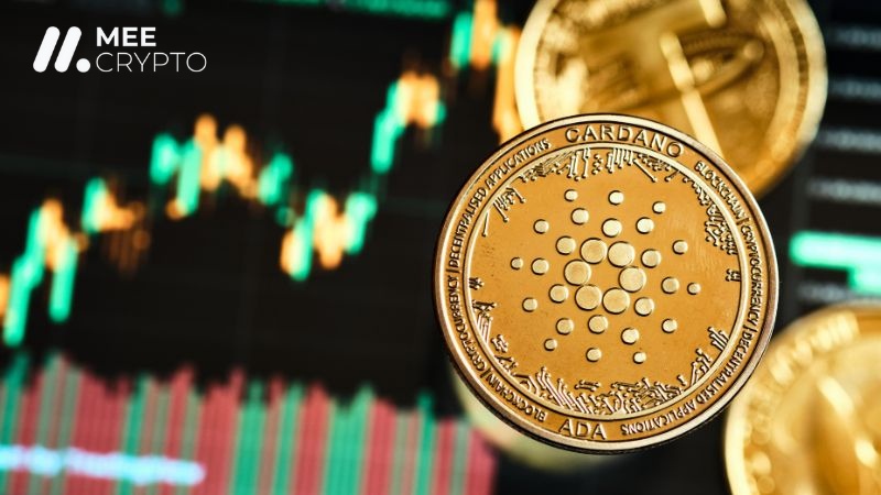 Giá trị của Cardano tăng trưởng khiêm tốn