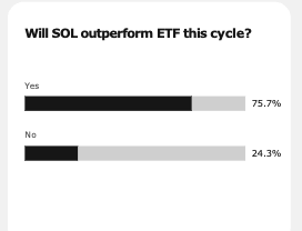 MV Capital survey responses. 