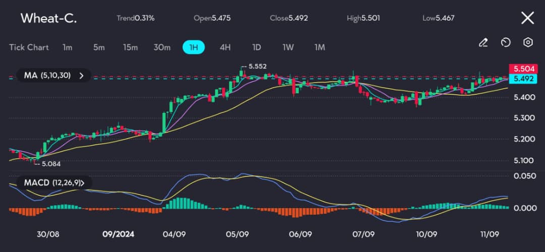 Wheat futures on vtmarkets.com have faced resistance despite a recent uptick, closing at 5.492 after hitting a high of 5.501. The 1-hour chart indicates that the price is being capped by the 5.552 resistance level, which has proven difficult to surpass in previous sessions. While the MACD remains in positive territory, indicating potential bullish momentum, the narrowing histogram suggests this momentum may be fading. The price is still supported by the 5, 10, and 30-period moving averages, which could provide some near-term stability. -vtmarkets.com