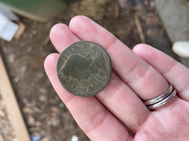 A hand holding a coin

Description automatically generated