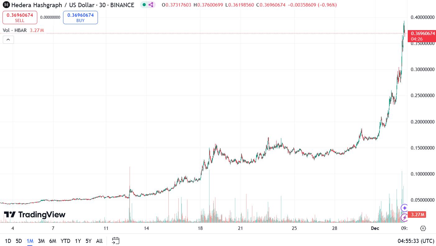 Chart showing the upward trajectory of Hedera (HBAR) price over the period from November to December 2024 according to Trading View