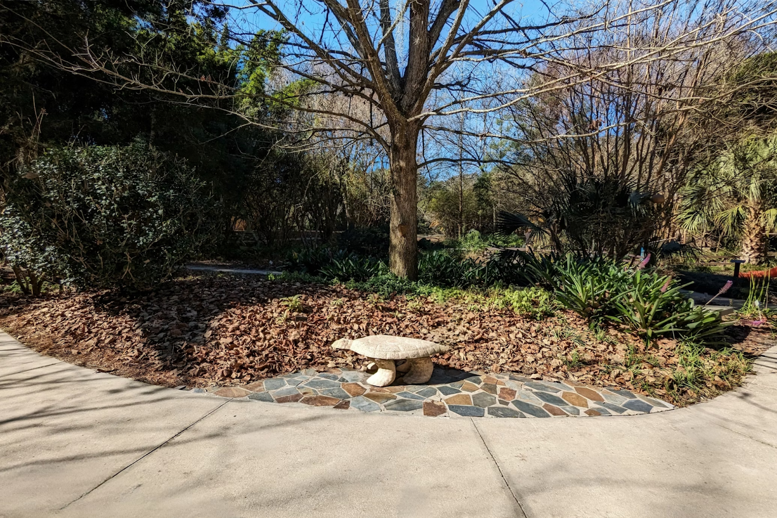 Photo of a neglected lawn covered in dry leaves, showing signs of poor maintenance.